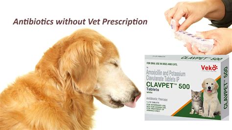 amoxicillin for dogs without vet prescription